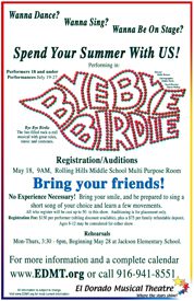 El Dorado Musical Theatre Production of the Bye Bye Birdie musical