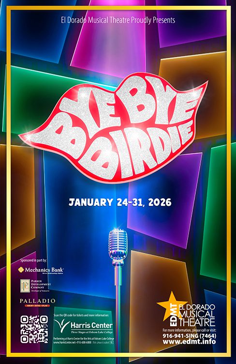 Colorful Bye Bye Birdie poster with microphone