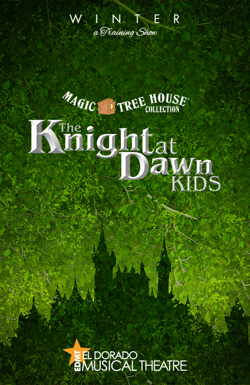 Magic Tree House Knight at Dawn poster